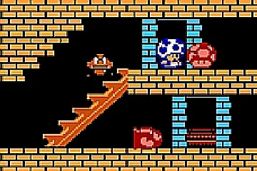 Toad's Crazy Castle
