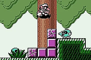 Wario Land 3